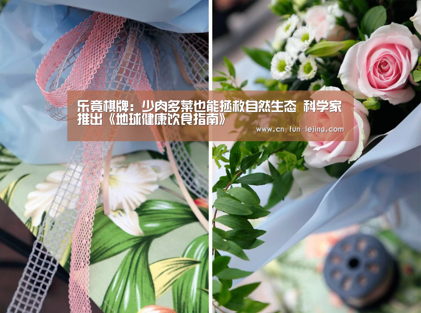 乐竟棋牌:少肉多菜也能拯救自然生态 科学家推出《地球健康饮食指南》(图2) 乐竟体育app