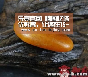 乐竟官网_脑图忆培优教育,让您在15-30分钟记住记牢一篇新概念文章(图2) 乐竟棋牌