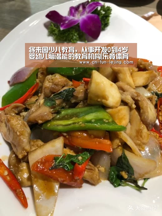 将来园少儿教育,从事开发0到4岁婴幼儿脑潜能的教育机构|乐竟体育app(图4) 乐竟棋牌
