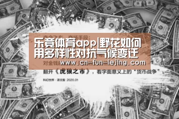 乐竟官网