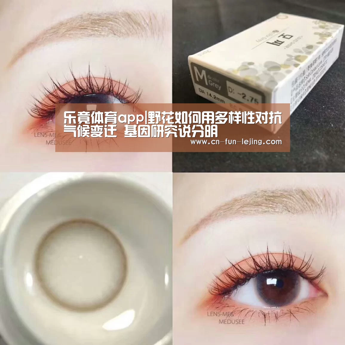 乐竟平台