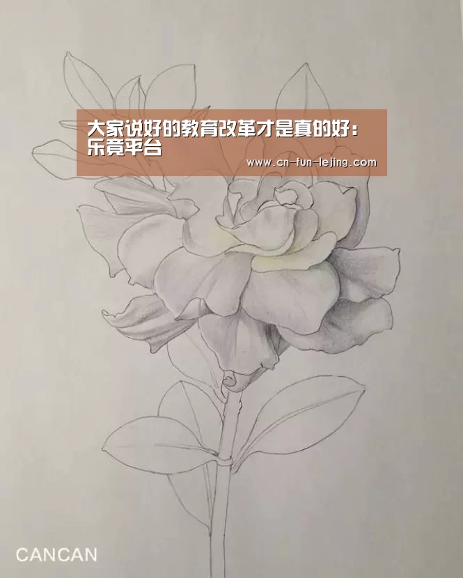 乐竟平台