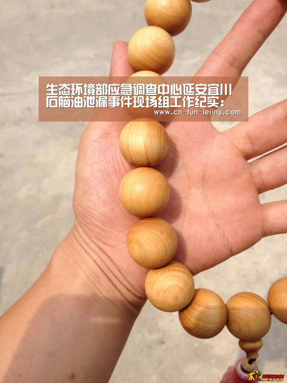 生态环境部应急调查中心延安宜川石脑油泄漏事件现场组工作纪实:乐竟棋牌(图3) 乐竟体育app