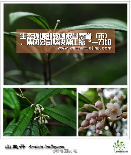 生态环境部致函被督察省(市)、集团公司坚决禁止搞“一刀切”“滥问责”:乐竟体育app(图4) 乐竟官网